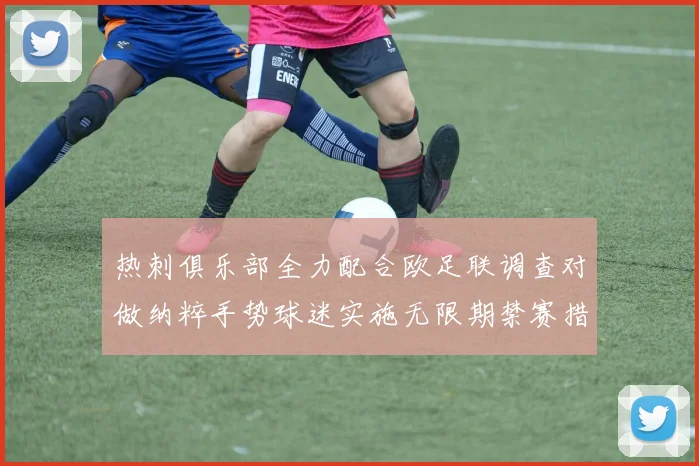 热刺俱乐部全力配合欧足联调查对做纳粹手势球迷实施无限期禁赛措施